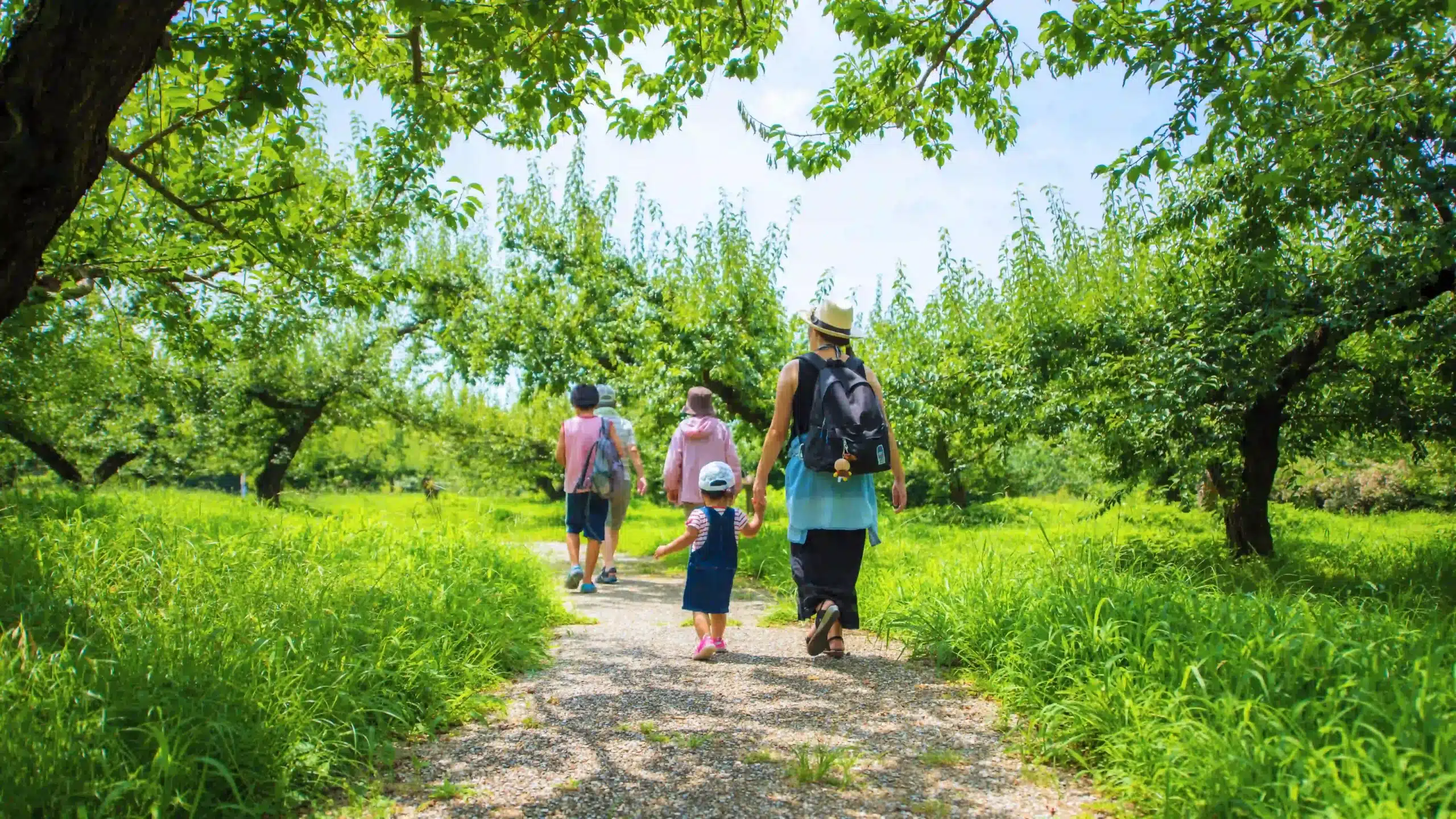 famille se promenant dans la foret scaled